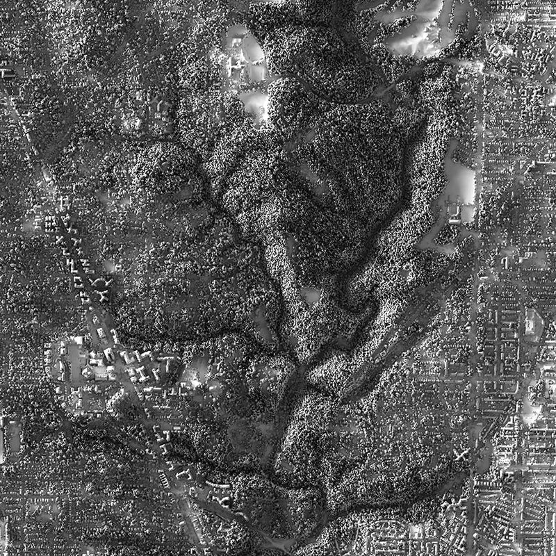Washington D.C. Elevation Map - Muir Way - Elevation