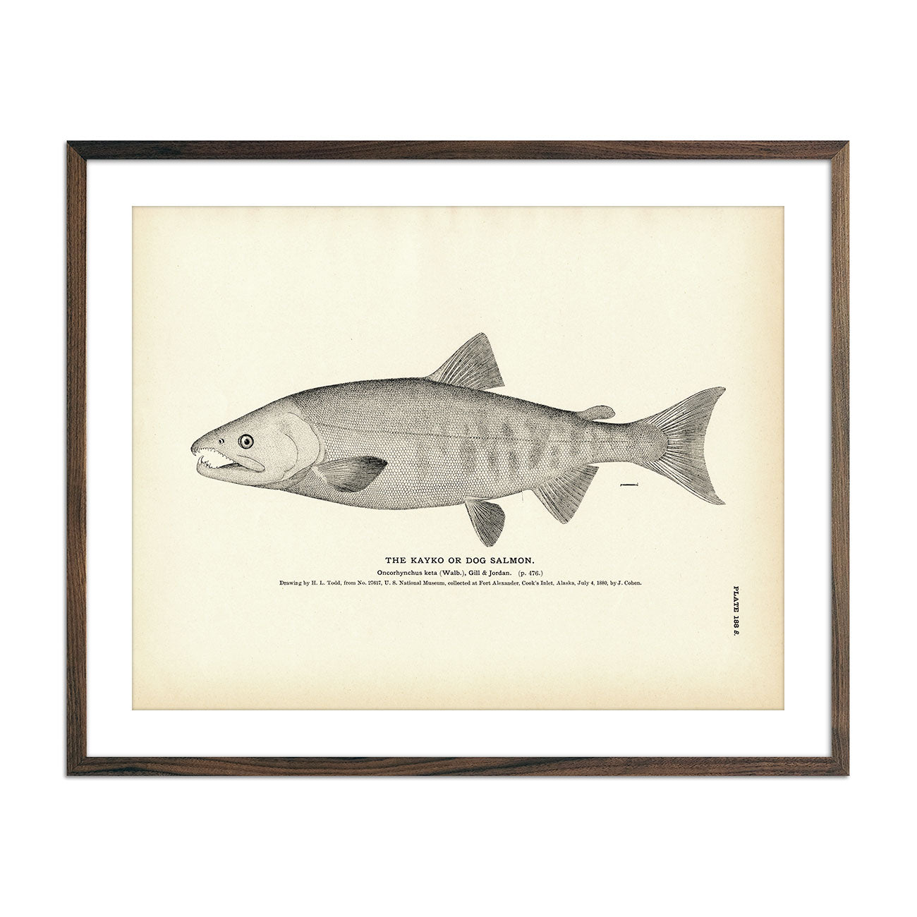 Vintage Kayko fish print