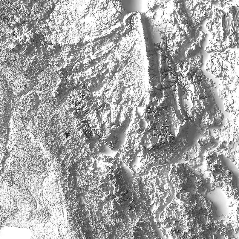 Florida Elevation Map - Muir Way - Elevation