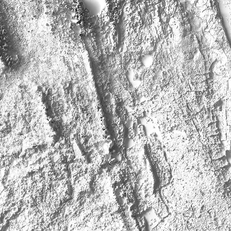 Florida Elevation Map - Muir Way - Elevation