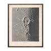 1874 Gassendi Moon Crater Print