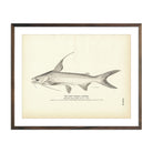 Vintage Gaff Topsail Catfish print