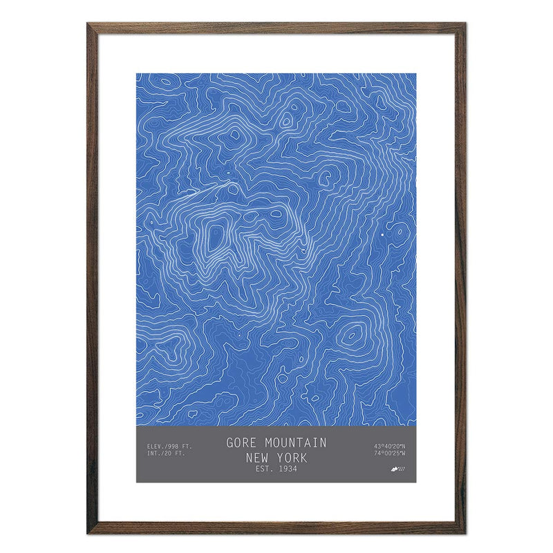 Gore, New York - Muir Way - TOPO Series