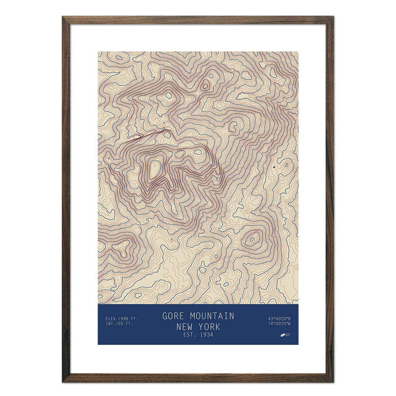 Gore, New York - Muir Way - TOPO Series