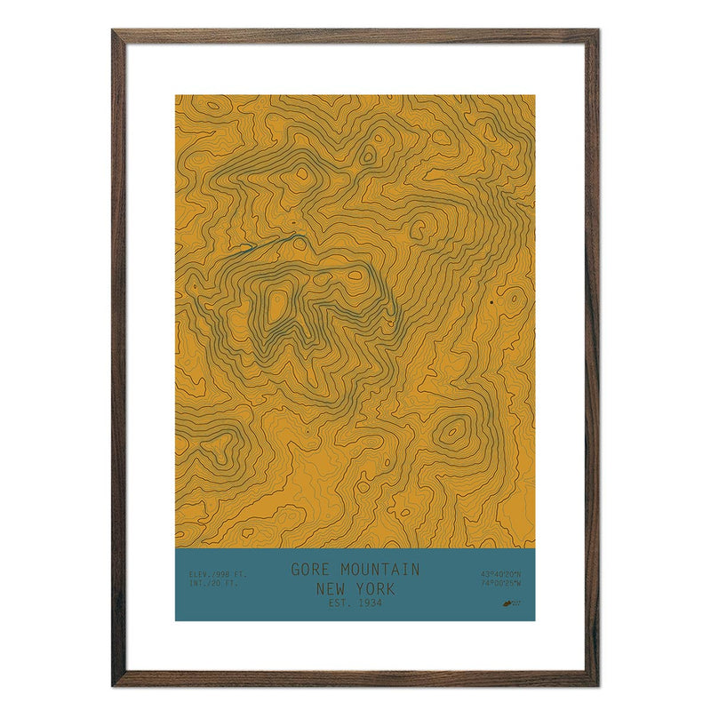 Gore, New York - Muir Way - TOPO Series