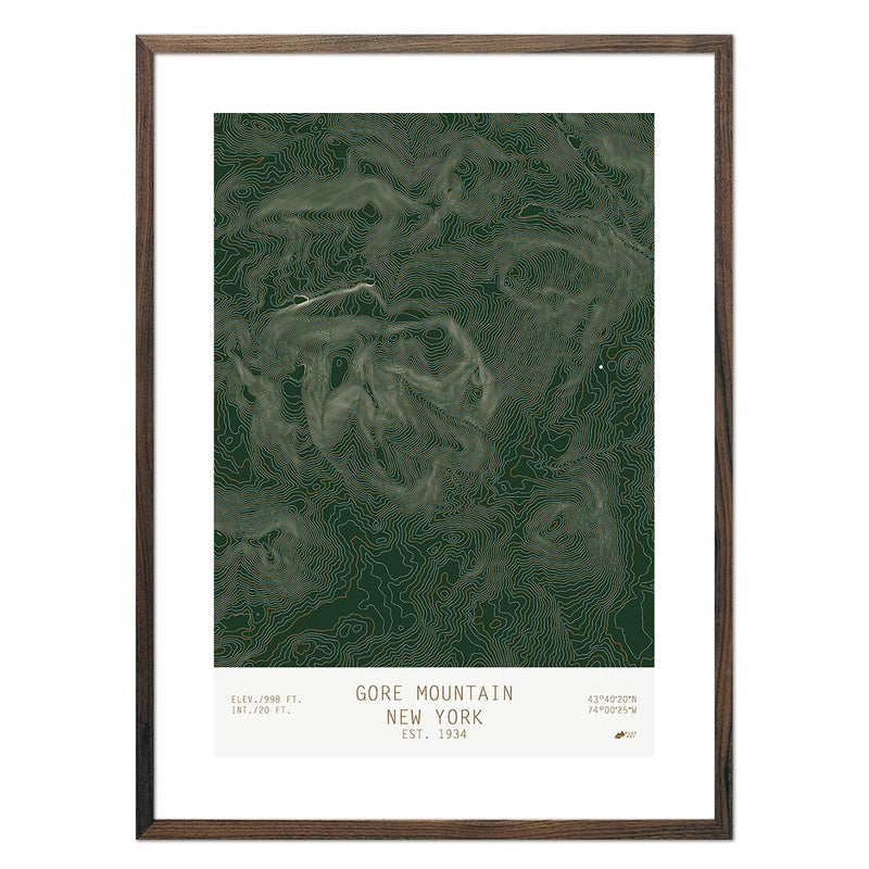 Gore, New York - Muir Way - TOPO Series