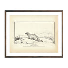 Vintage Gray Seal fish print