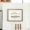 Hand-Saw Fish and Baird's Alepocephalus Art Print