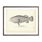 Vintage Jew-Fish print
