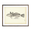 Vintage Jordan's Cabezon fish print
