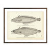 Vintage King and Earl's Hake fish print
