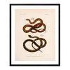 King Snake Art Print