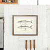 Cero (Kingfish) and Spotted Cero Art Print