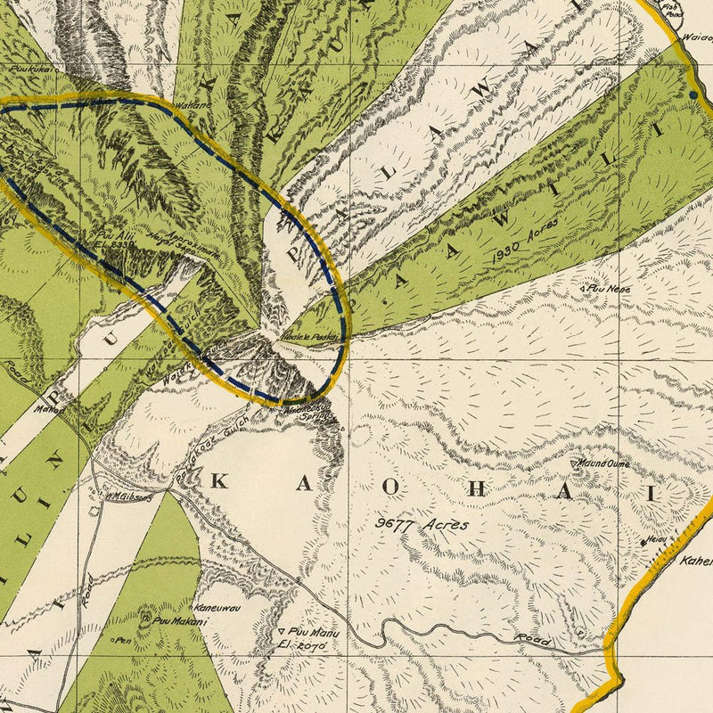 Lanai Island 1906 Map - Muir Way - Vintage Map