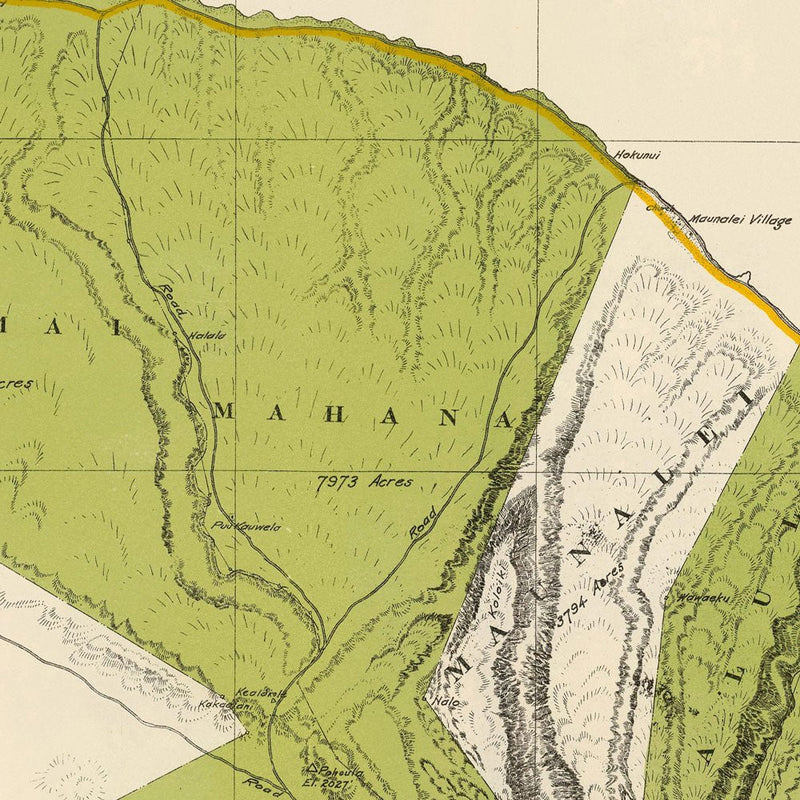 Lanai Island 1906 Map - Muir Way - Vintage Map