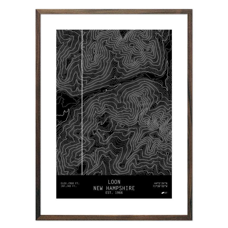 Loon, New Hampshire - Muir Way - TOPO Series