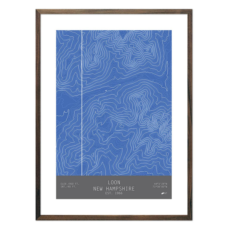 Loon, New Hampshire - Muir Way - TOPO Series