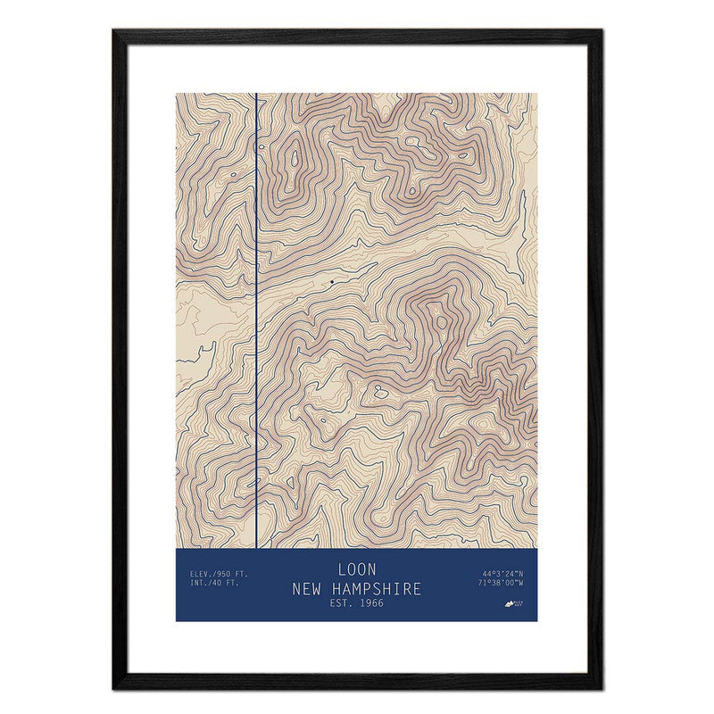 Loon, New Hampshire - Muir Way - TOPO Series