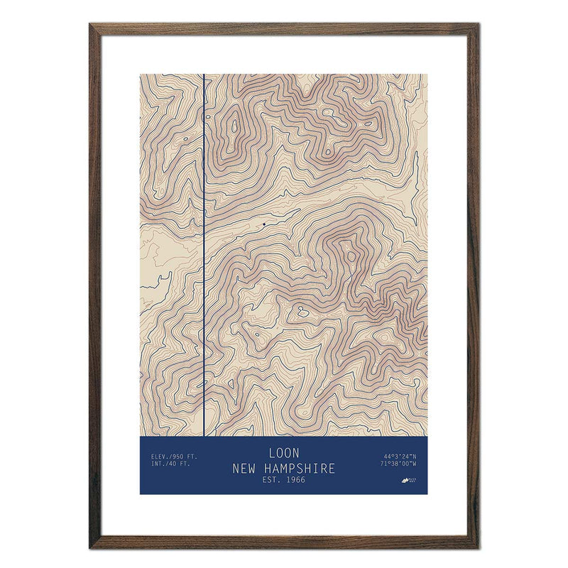 Loon, New Hampshire - Muir Way - TOPO Series