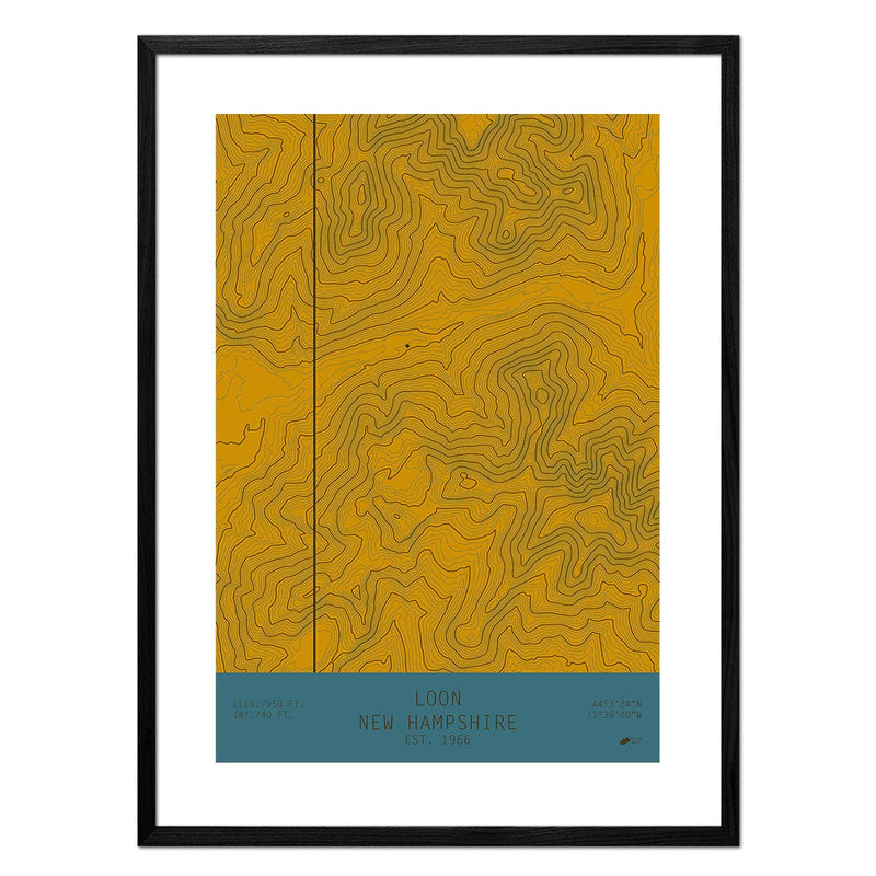 Loon, New Hampshire - Muir Way - TOPO Series