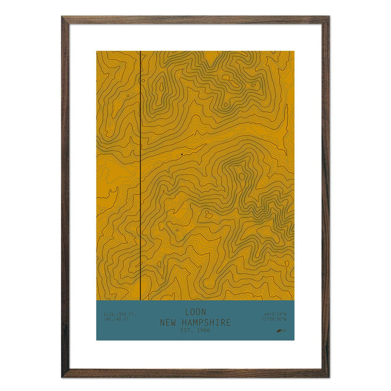 Loon, New Hampshire - Muir Way - TOPO Series