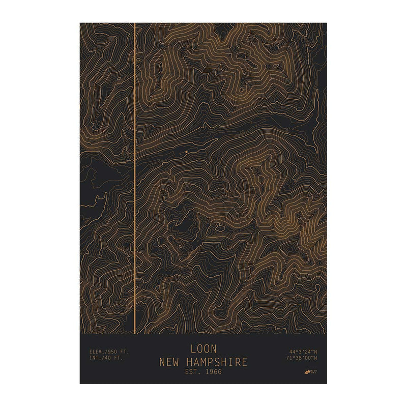 Loon, New Hampshire - Muir Way - TOPO Series