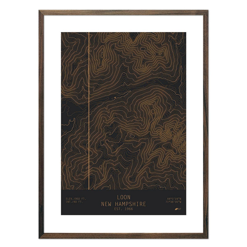 Loon, New Hampshire - Muir Way - TOPO Series