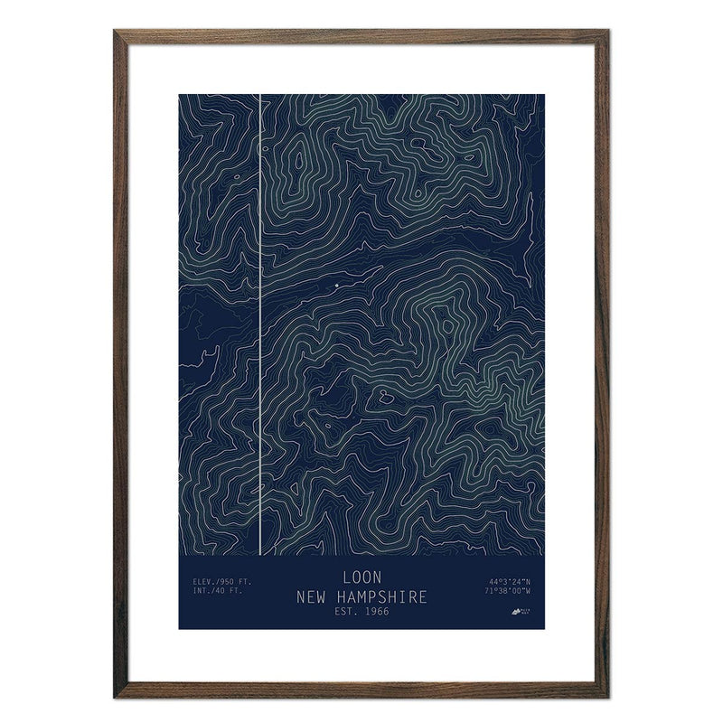 Loon, New Hampshire - Muir Way - TOPO Series