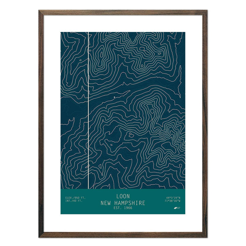 Loon, New Hampshire - Muir Way - TOPO Series