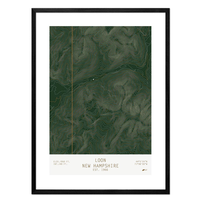 Loon, New Hampshire - Muir Way - TOPO Series