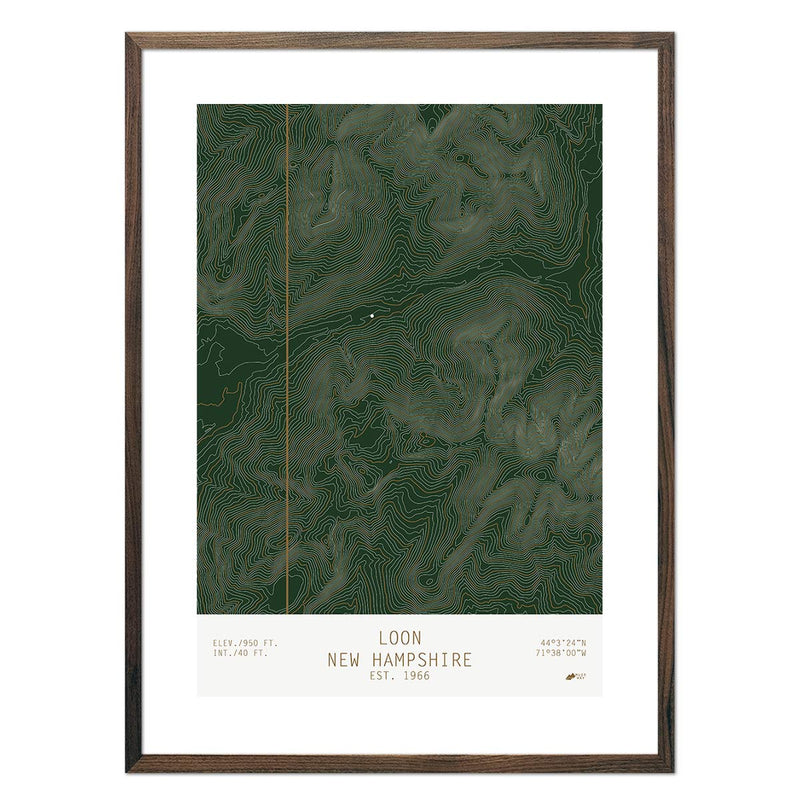 Loon, New Hampshire - Muir Way - TOPO Series