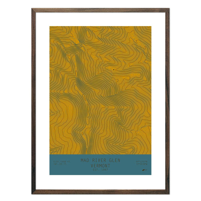 Mad River Glen, Vermont - Muir Way - TOPO Series