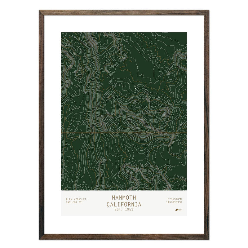 Mammoth, California - Muir Way - TOPO Series