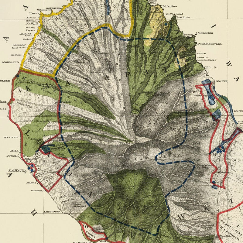 Maui Island 1903 Map - Muir Way - Vintage Map