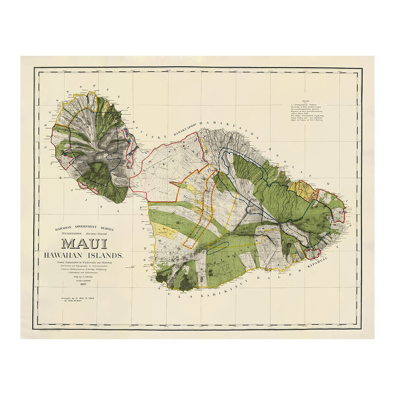 Maui Island 1903 Map - Muir Way - Vintage Map