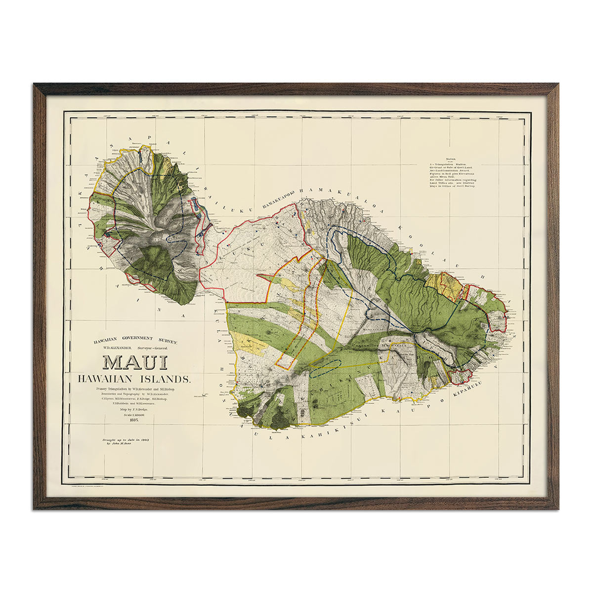 Maui Island 1903 Map - Muir Way