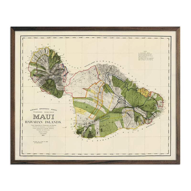 Maui Island 1903 Map - Muir Way - Vintage Map