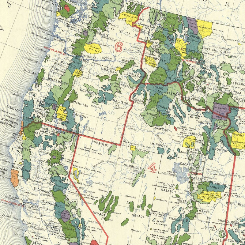 National Forests Map 1936 - Muir Way - Vintage Map