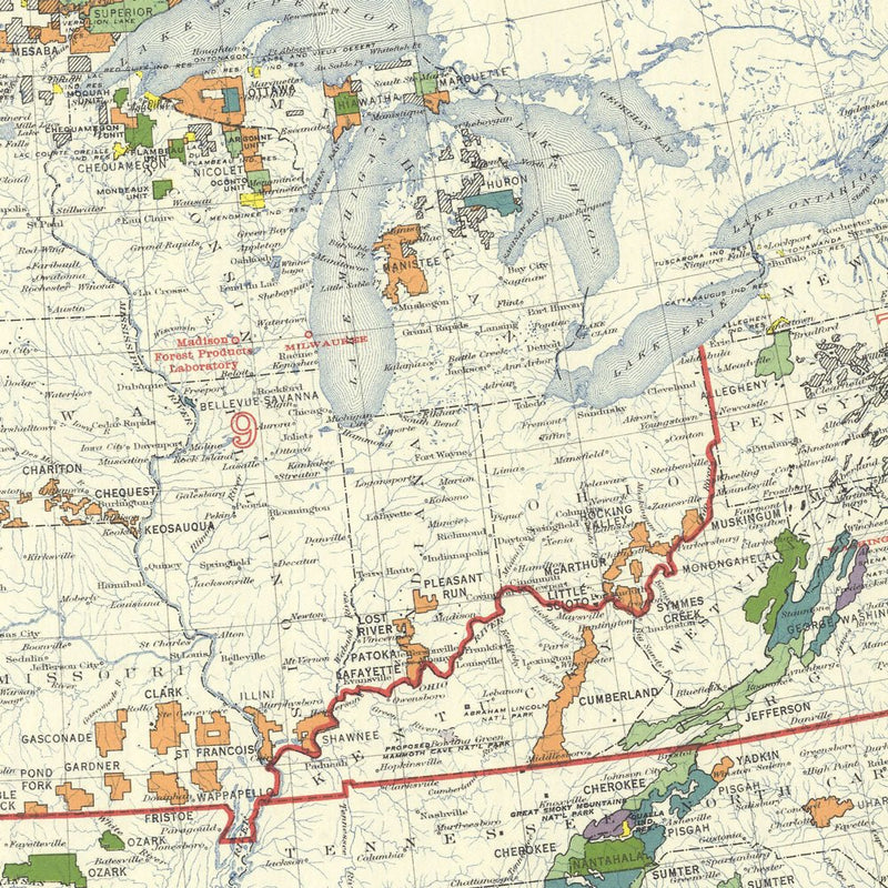 National Forests Map 1936 - Muir Way - Vintage Map