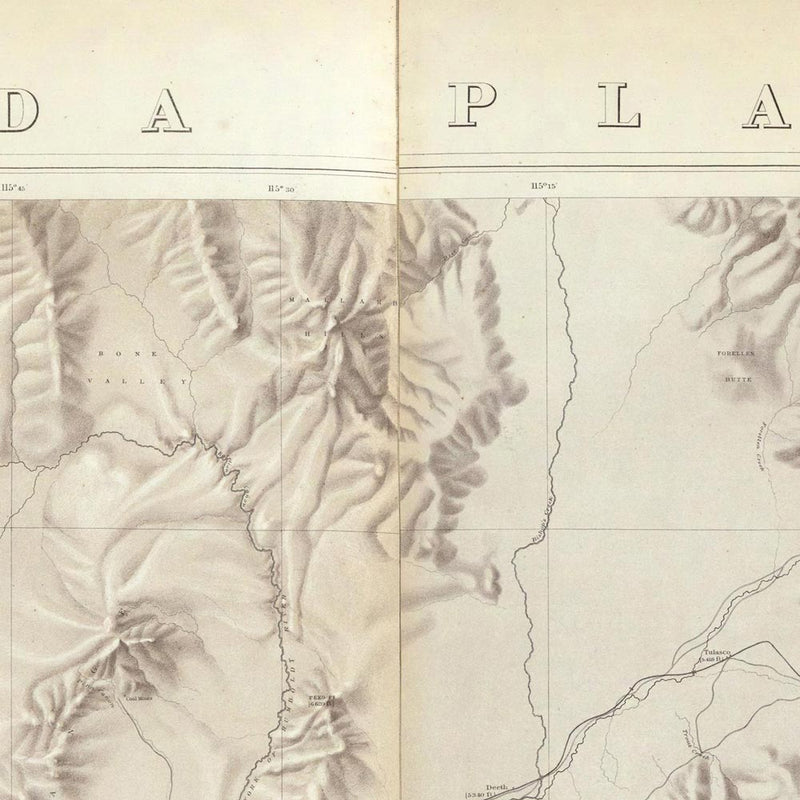 Nevada Plateau 1876 Topographic Map - Muir Way - Vintage Map