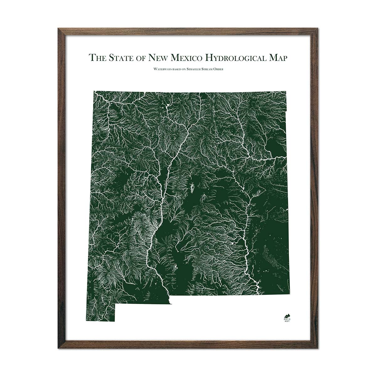 New Mexico Rivers Map