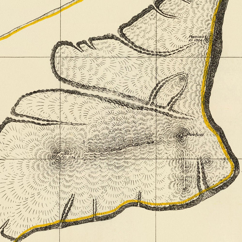 Niihau Island 1904 Map - Muir Way - Vintage Map