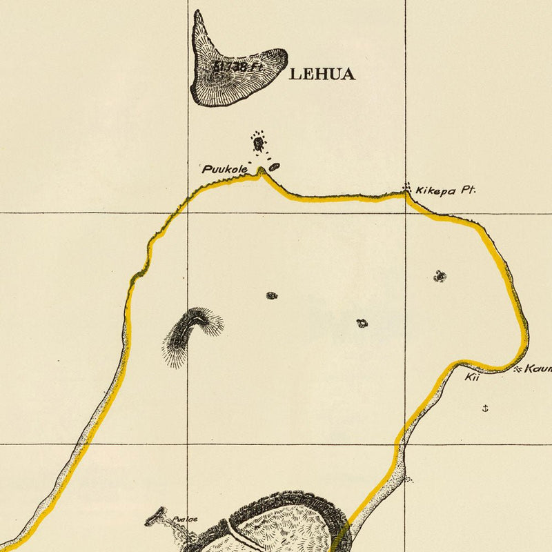 Niihau Island 1904 Map - Muir Way - Vintage Map