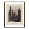 North Dome, Yosemite 1868