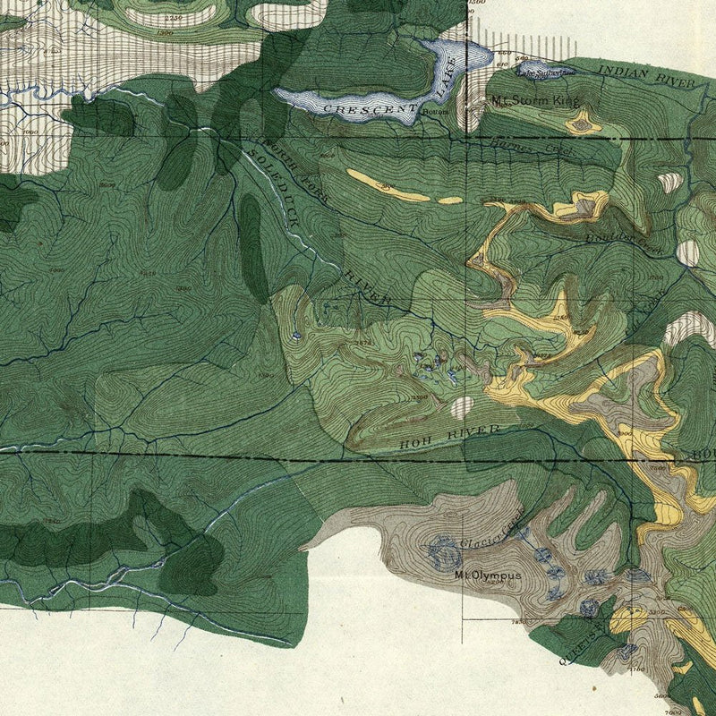 Olympic Forest Reserve Map 1899 - Muir Way - Vintage Map