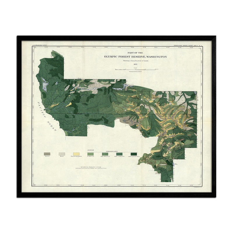 Olympic Forest Reserve Map 1899 - Muir Way - Vintage Map