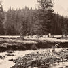 Palace Butte Park, Yellowstone 1873