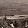 Panoramic View of Yellowstone Valley No. 2, Yellowstone 1873