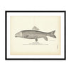 Red Horse Art Print