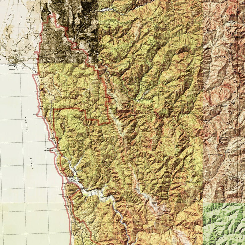 Redwood National Park Shaded Relief Map - Muir Way - Relief Series